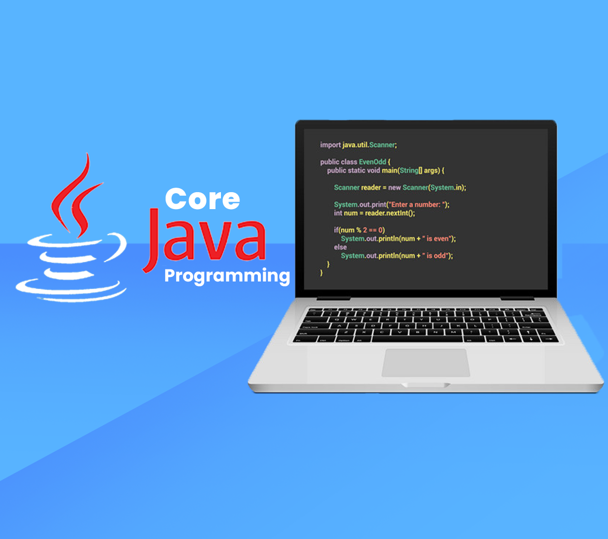 Java programming. Code provided. import